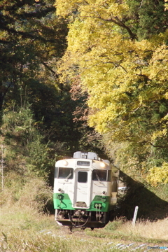 秘境駅に顔を見せたキハ40！