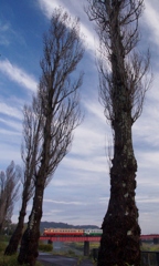 小湊鉄道のキハ40を追いかけて！①