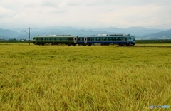 観光列車「さとの」！