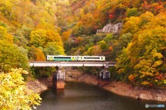 紅葉の田子倉湖畔を走る只見線！