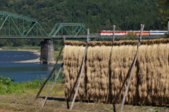 日本の伝統風景に３種類混合DC