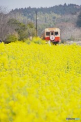 小湊鉄道開通100周年！