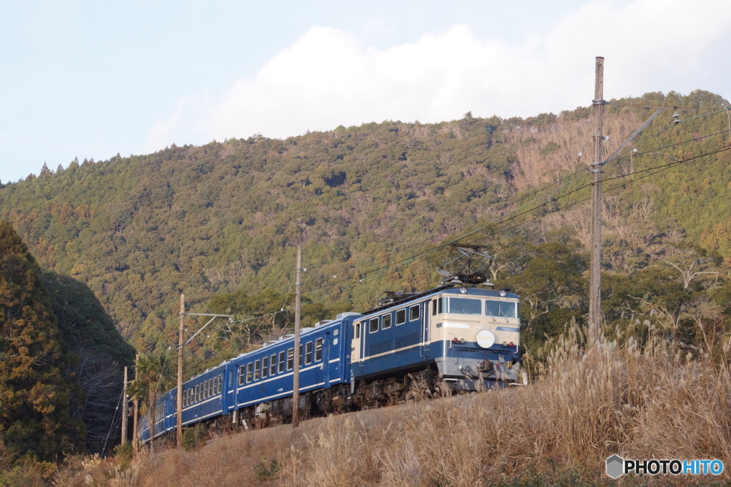 ブルートレイン急行バックビュー！