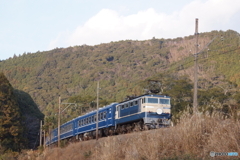 ブルートレイン急行バックビュー！