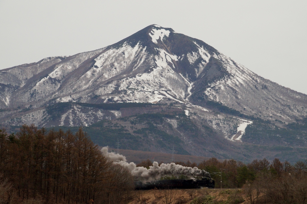 雄大な景色にＤ５１＆旧客！