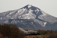 雄大な景色にＤ５１＆旧客！