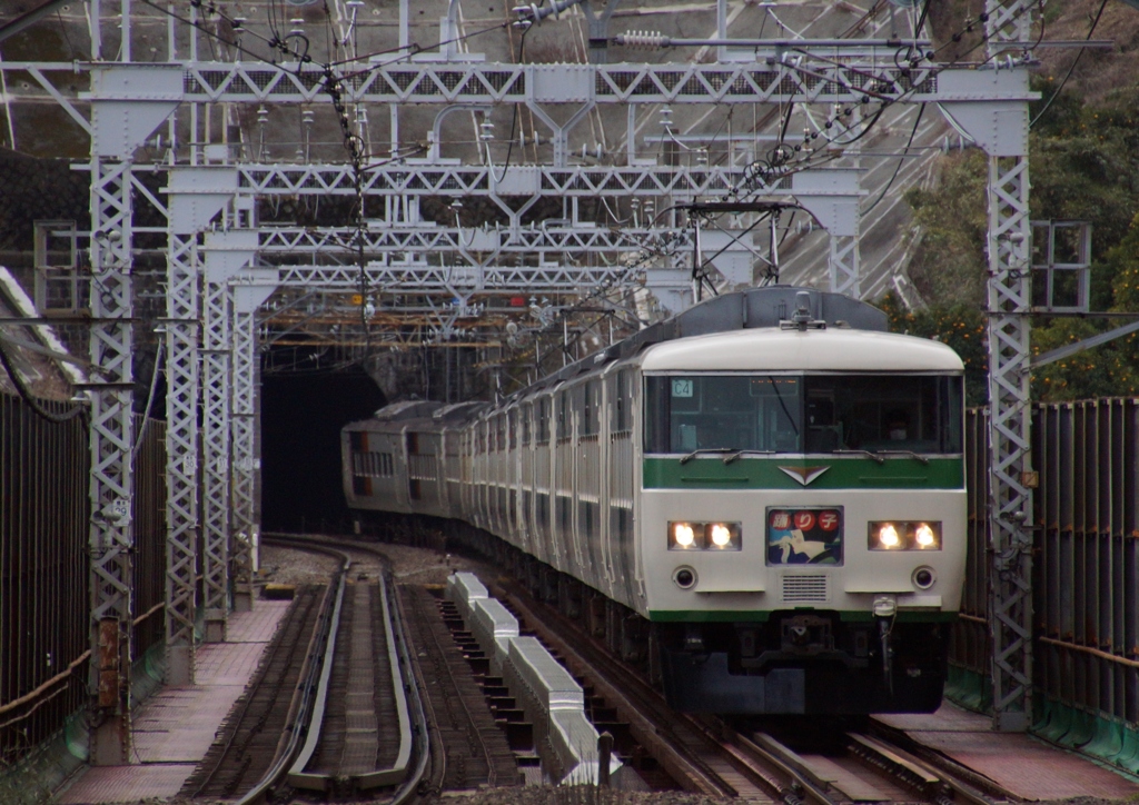 特急踊り子号形式写真