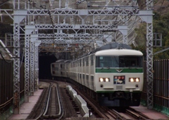 特急踊り子号形式写真