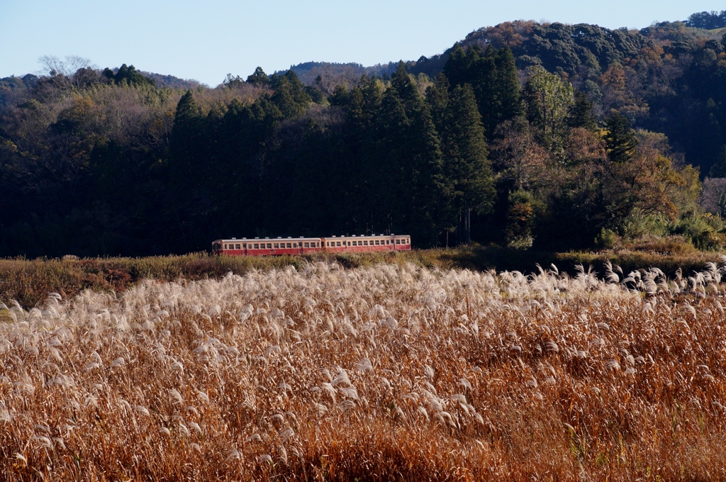 小湊鉄道の里山！③（完）