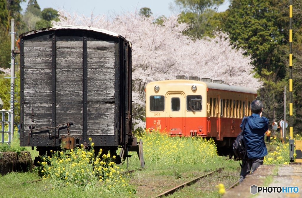 小湊鉄道の里見駅！