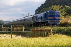 青カマのカシオペア＆はさがけ風景