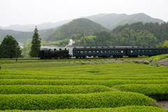 大井川鉄道のひと昔し前にはこの塗装の客車があった！