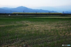 東海道新幹線　ドクターイエロー！