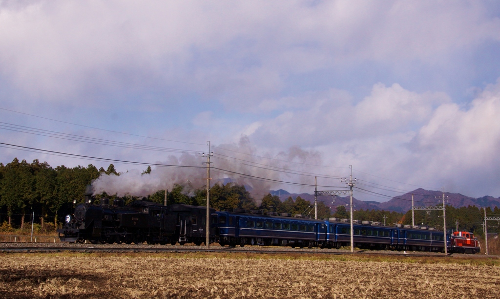 ＳＬ「大樹」フル編成！