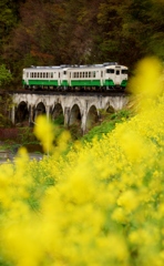 大好きなめがね橋と菜の花！