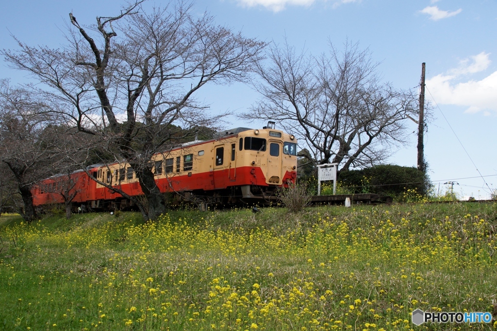 小湊鉄道の飯給駅！①