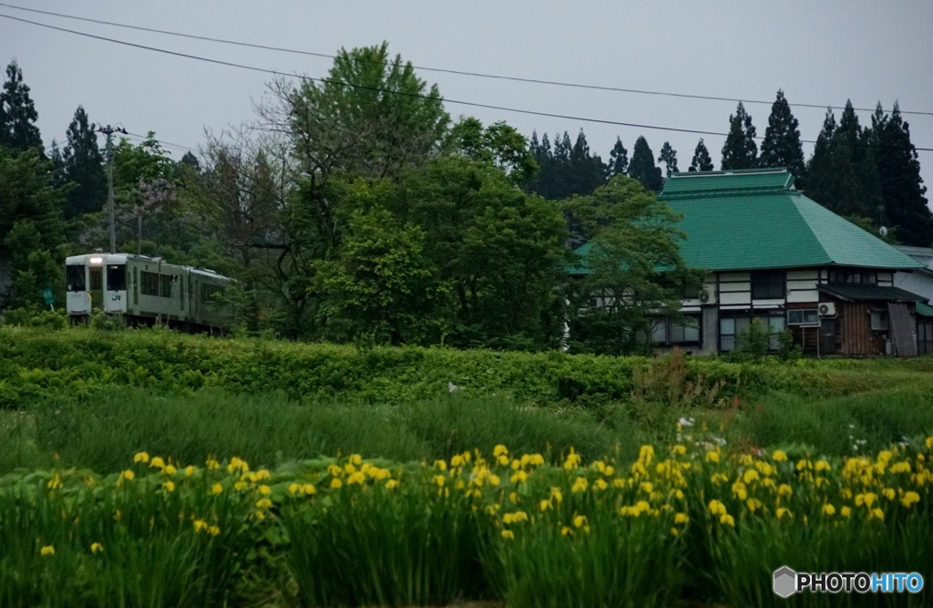 黄菖蒲と会津の建造物とキハ110！