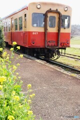 小湊鉄道！