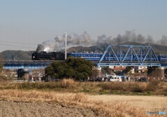 内房線　湊川橋梁を渡ったD51牽引臨時列車！
