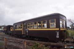 くびき野レールパーク　ホジ３型気動車！