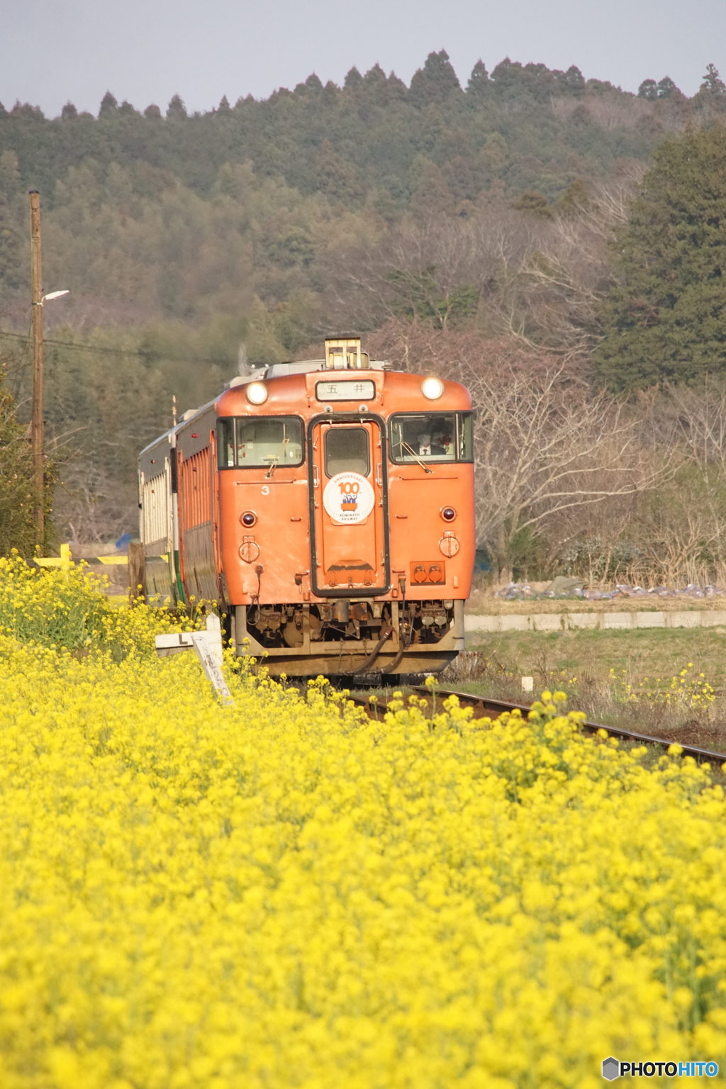キハ40と菜の花！