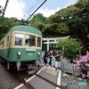 鎌倉御霊神社の鳥居と江ノ電に紫陽花！