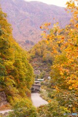 田子倉サミット通過！