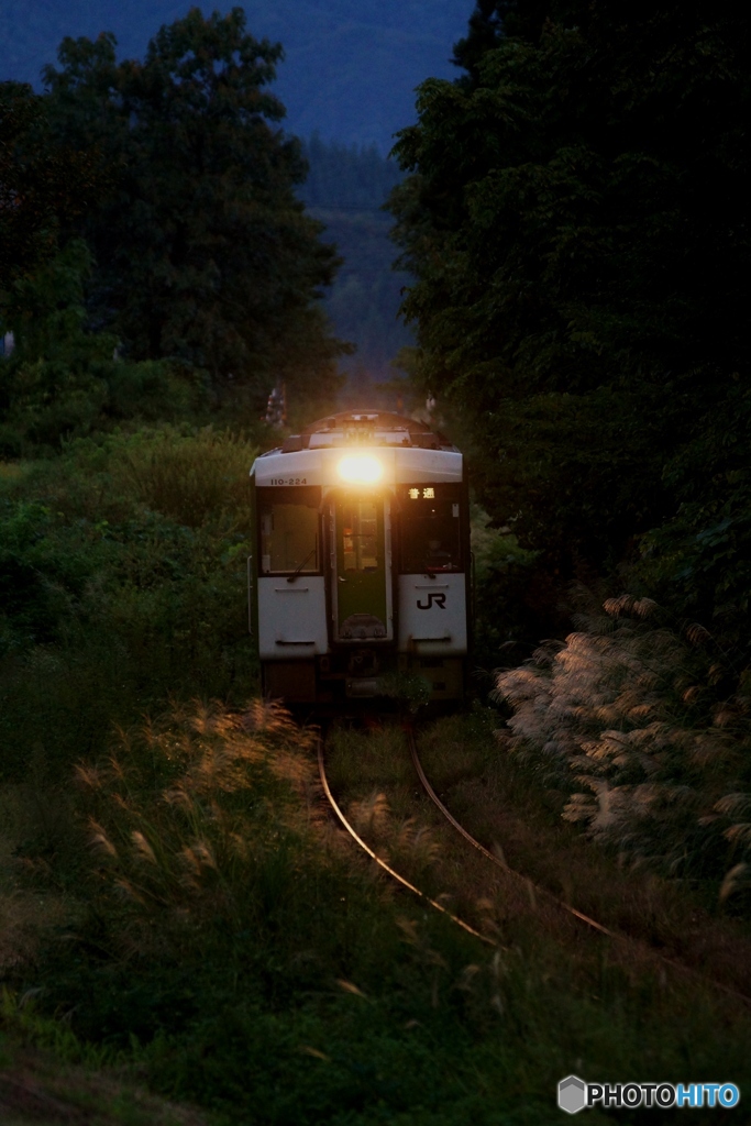 夕暮れの鉄路に光るススキ！