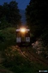 夕暮れの鉄路に光るススキ！