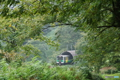 トンネルからひょっこりと！