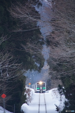 杉林の間から只見線現る！