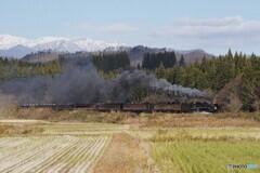 上野尻を往くばんえつ物語号！