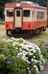キハ20のドアップ！