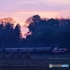 夕暮れの八木岡の里を走る列車！