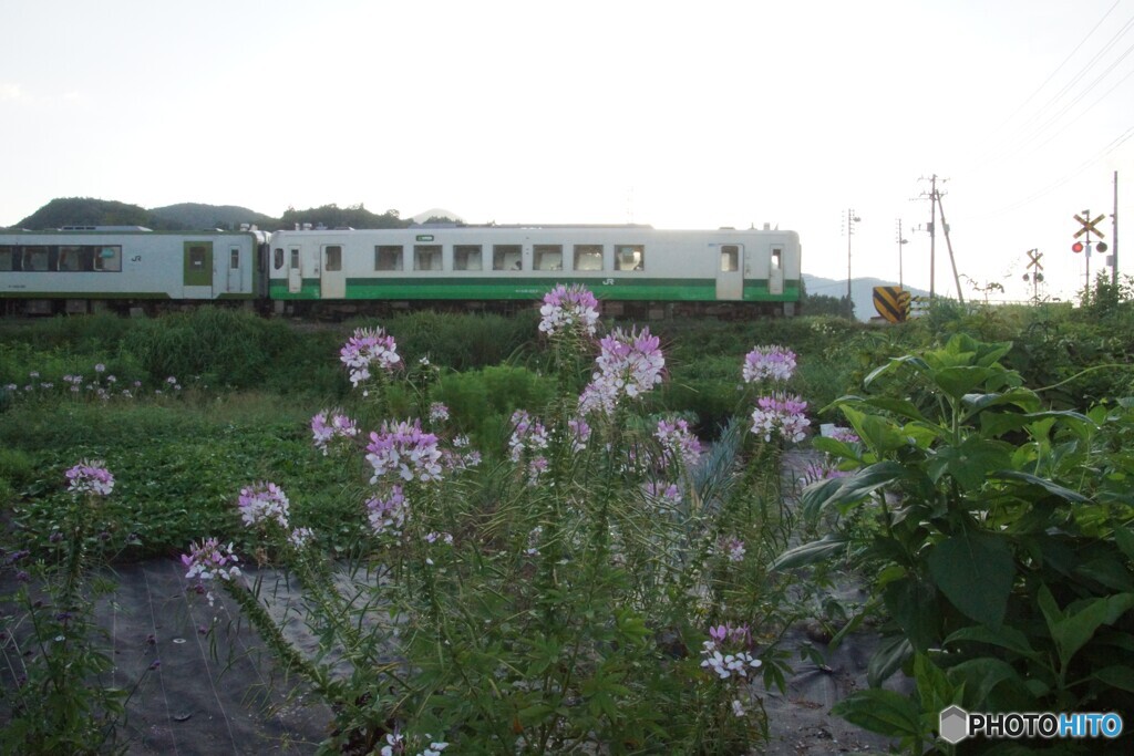 只見線キハ110！
