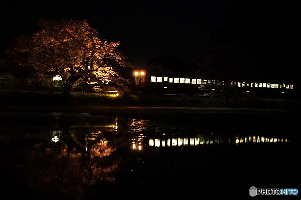 小湊鉄道の飯給駅夜桜とキハ200！