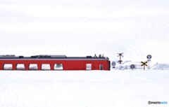 雪に埋もれた踏切＆列車！