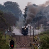 久しぶりの真岡鉄道！①