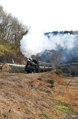 SL「もおか」イン道の駅「もてぎ」！