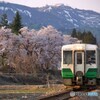 桜と只見線色のキハ110！