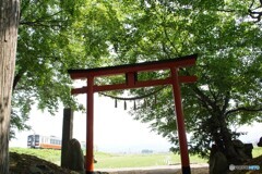 新緑の春日神社を抜ける只見線！