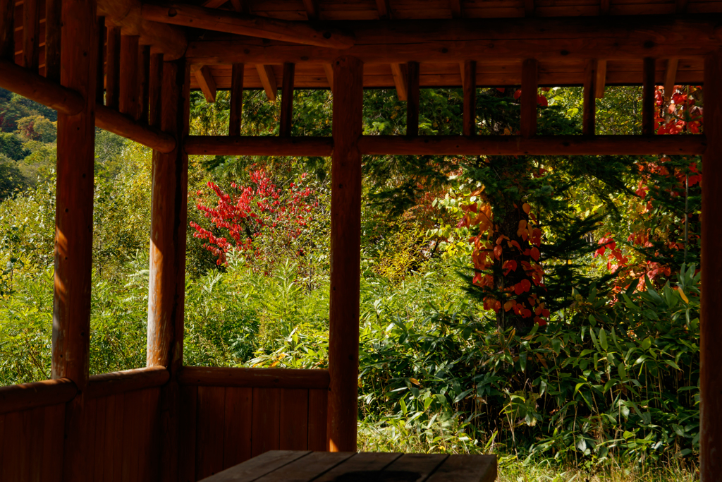 休憩所の奥の風景