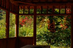 休憩所の奥の風景