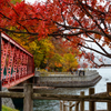 橋と支笏湖と紅葉