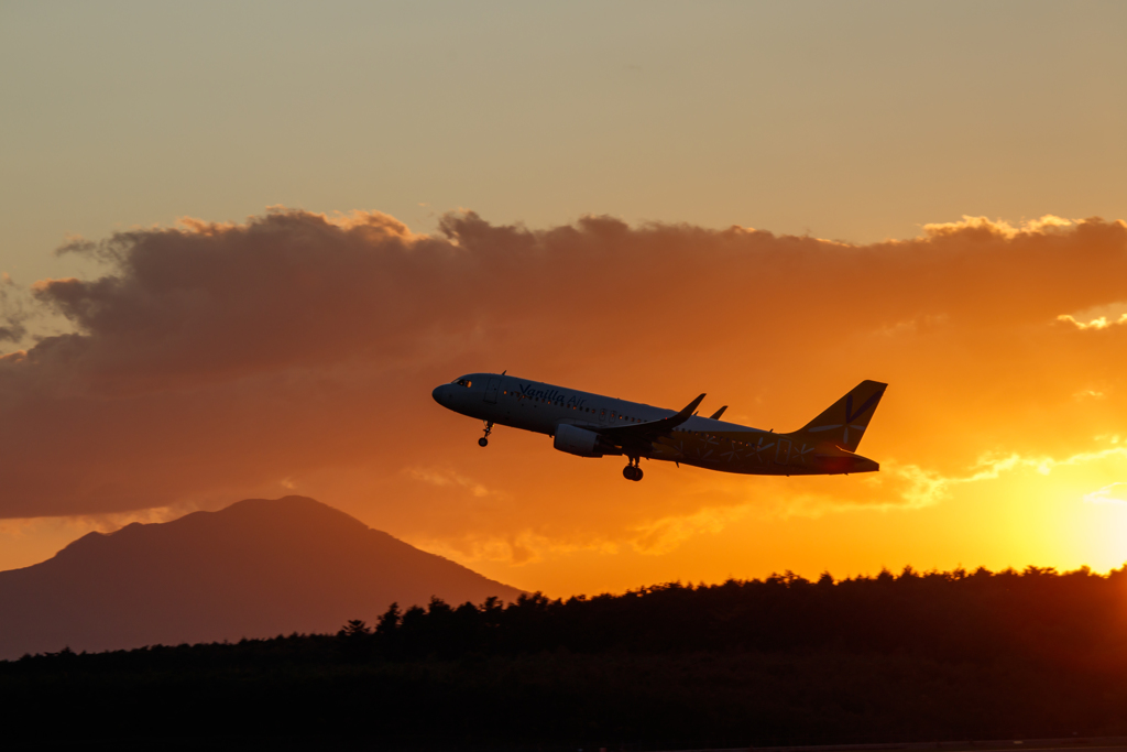 夕焼けと飛行機