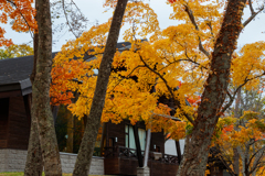 ログハウス風な建物と紅葉
