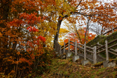 階段奥の紅葉