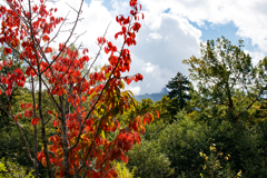 紅葉とちょこっと樽前山？