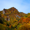 やっと出会えた紅葉