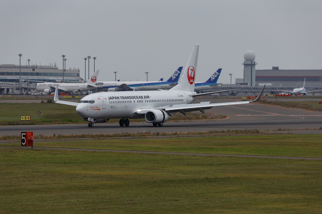 ここ北海道ですよ？？